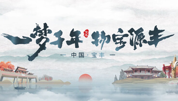 <b>城市宣传片 宝丰</b>